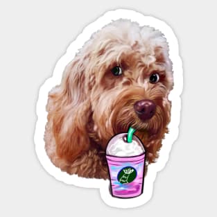 Cavapoo Cavoodle puppy dog iced coffee  - funny cute cavalier king charles spaniel poodle, puppy love Sticker